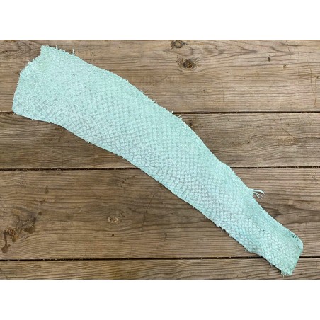 Peau de cuir de poisson Perche du Nil vert d'eau mat - Cuir en Stock