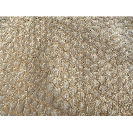 Détail écailles - cuir de poisson - Perche du Nil - beige sable - Cuir en Stock