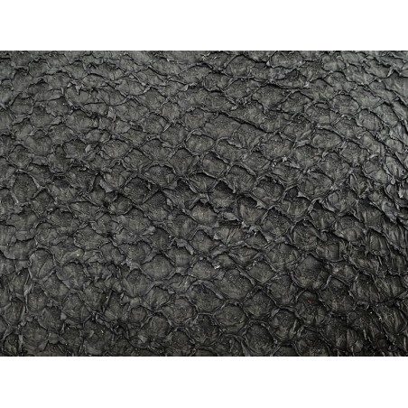 Détail écailles - cuir de poisson - Perche du Nil - noir mat - Cuir en Stock