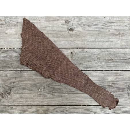 Peau de cuir de poisson Perche du Nil brun noisette mat - Cuir en Stock