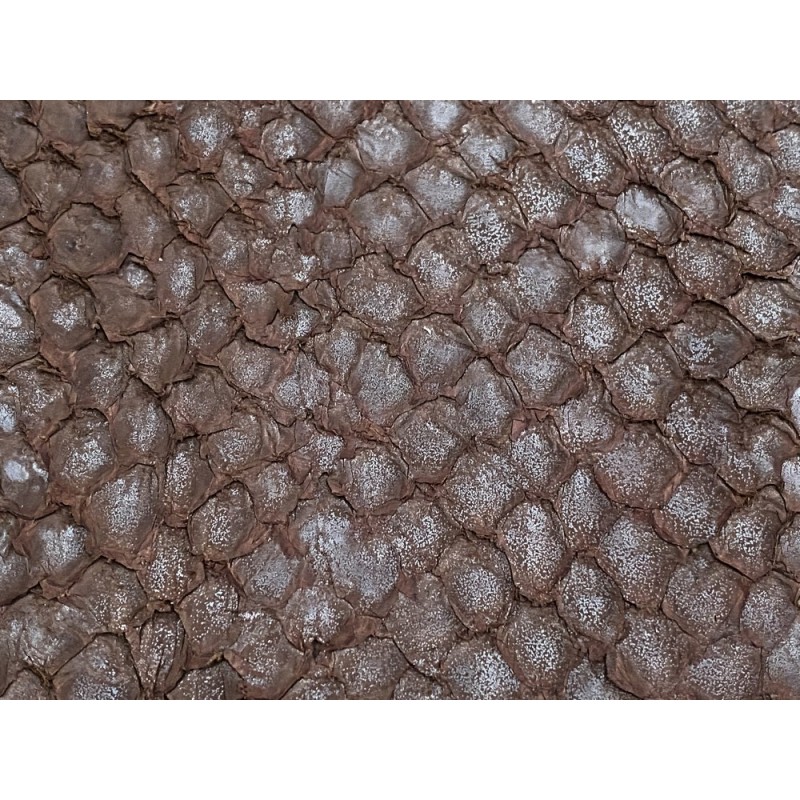 Détail écailles - cuir de poisson - Perche du Nil - marron mat - Cuir en Stock