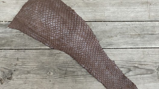 Détail peau - écailles - cuir de poisson - Perche du Nil - marron mat - bijoux accessoire maroquinerie - cuir en stock