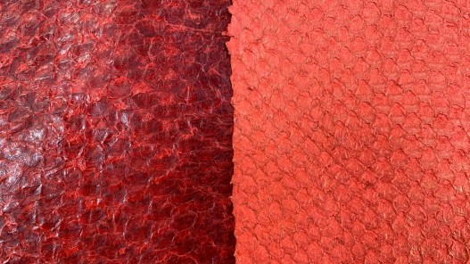 Duo peaux cuir poisson - détail écailles - Perche du Nil - rouge orangé - Cuir en Stock