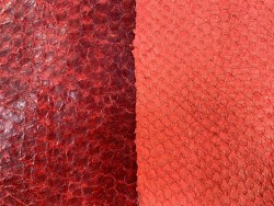 Duo peaux cuir poisson - détail écailles - Perche du Nil - rouge orangé - Cuir en Stock