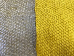 Détail écailles - cuir de poisson - Perche du Nil - vendu en lot - jaune - Cuir en stock