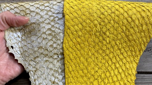 Exemple duo - cuir de poisson - Perche du Nil - vendu en lot - camaïeu jaune - Cuirenstock