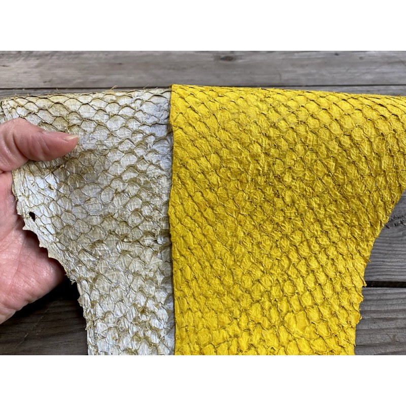 Cadre Bois Peau Chèvre Tambour Tambour Accordable Percussion Plus