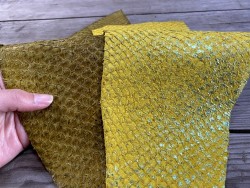 Exemple duo - cuir de poisson - Perche du Nil - vendu en lot - jaune - Cuir en Stock