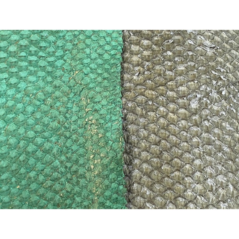 Détails écailles - cuir de poisson - vente en lot - peaux exotiques - vert - Cuir en Stock