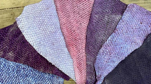 Peaux - cuir de poisson - peaux exotique - vente en lot - Violet rose - Bijou accessoire maroquinerie - cuirenstock