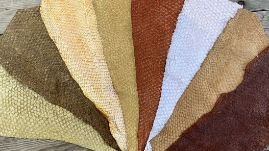 Vente en lot - cuir de poisson - Perche du Nil - beige brun - bijou accessoire maroquinerie - Cuirenstock