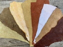 Vente en lot - cuir de poisson - Perche du Nil - beige brun - bijou accessoire maroquinerie - Cuirenstock