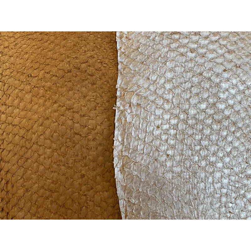 Détail écailles - cuir de poisson - exotique - Perche du Nil - lot de peaux - beige brun - Cuir en stock