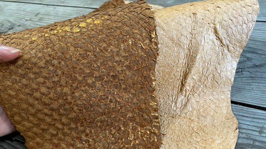 Exemple duo - cuir de poisson - Perche du Nil - lot de peaux - beige brun - bijou accessoire maroquinerie - Cuirenstock