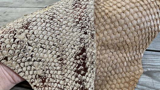 Exemple duo - cuir de poisson - Perche du Nil - lot de peaux - beige brun - bijou accessoire maroquinerie - cuirenstock