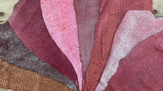 Lot - peaux de poisson - Perche du Nil - camaïeu de prune - cuir exotique - bijou accessoire maroquinerie - cuir en stock