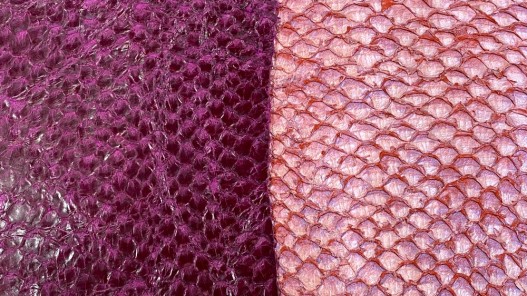 Détail écailles - peaux de poisson - Perche du Nil - camaïeu de prune - cuir exotique - Cuir en stock