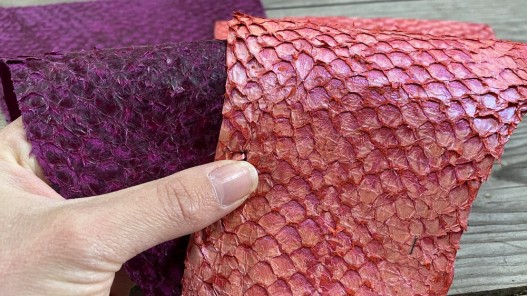 Duo - lot - peaux de poisson - Perche du Nil - camaïeu de prune - cuir exotique - bijou accessoire maroquinerie - Cuir en Stock