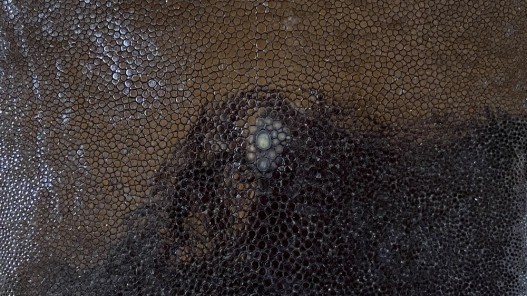 Détail grain - perle centrale - peau galuchat - cuir exotique - noir - Cuir en stock