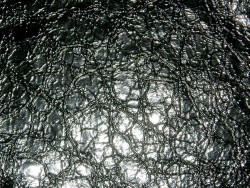 peau agneau vernis froissé noir cuir en stock