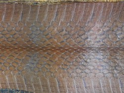 cuir exotique serpent cobra marron - Cuirenstock