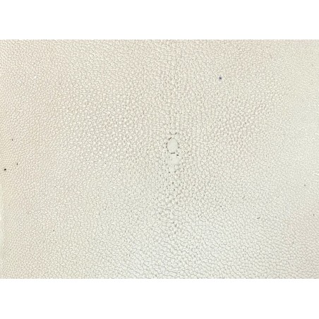 Détail perle centrale - peau de galuchat - blanc - exotique - luxe - Cuir en Stock