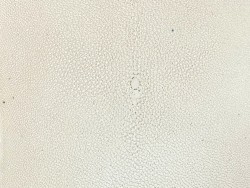 Détail perle centrale - peau de galuchat - blanc - exotique - luxe - Cuir en Stock