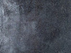 Détail perle centrale - peau de galuchat - grain poli - marron sombre - Cuir en Stock