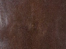 Détail peau de galuchat - perle centrale - grain poncé - marron - Cuir en Stock