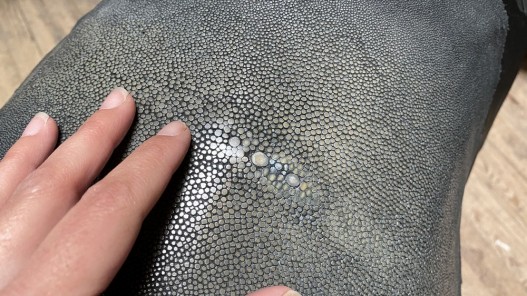 Détail perle central - grain poli - peau de galuchat - gris - bijou - gainage d'objet - Cuirenstock