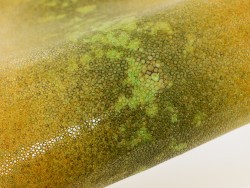 Peau cuir Galuchat jaune et vert moucheté - Grain poncé - Cuirenstock