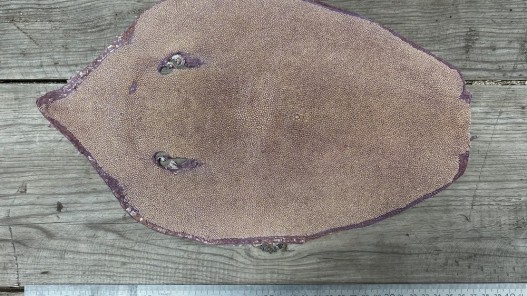 Peau de galuchat - grain perlé semi-poli - lilas pailleté - bijou - gainage d'objet - Cuir en stock