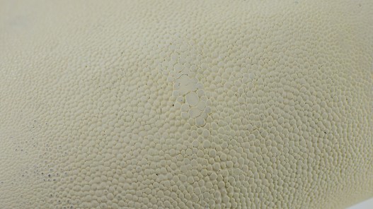 Détail perle centrale - peau de galuchat - blanc - exotique - luxe - Cuir en Stock