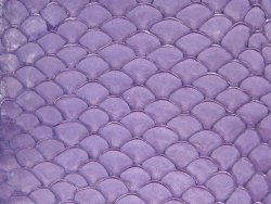 Cuir de poisson Tilapia violet mat bijoux accessoire Cuir en Stock