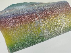 Détail grain de peau de galuchat - perle centrale - cuir exotique - dégradé multicolore - Cuir en Stock