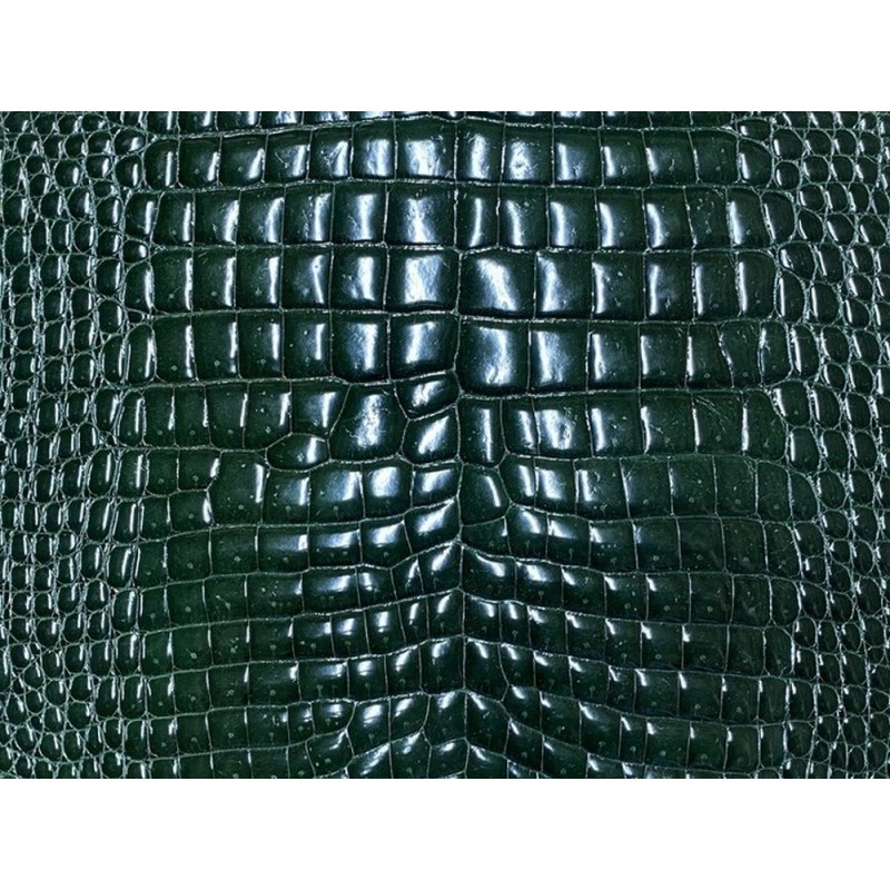 Détail peau de cuir de ventre de crocodile vert - maroquinerie - Cuir en stock Détail peau de cuir de ventre de crocodile vert - maroquinerie - Cuir en stock