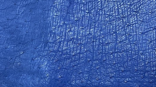 Morceaux de cuir d'autruche bleu Cuir en stock