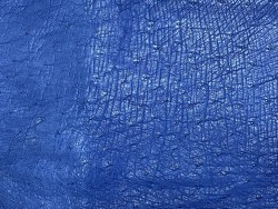 Morceaux de cuir d'autruche bleu Cuir en stock