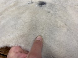 Peau de mouton lainé blanc choix écart - Cuir en stock