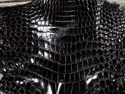 Cuir de crocodile véritable - tête de crocodile - cuir exotique - bijoux - accessoire - Cuir en Stock