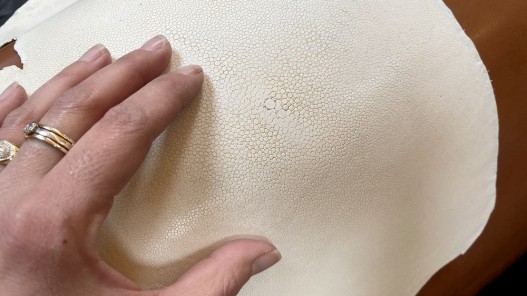 Détail perle centrale - grain poli - peau de galuchat - blanc - exotique - luxe - cuirenstock