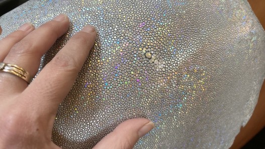 Peau de galuchat - argent multi couleurs - reflets colorés néon - luxe - exotique - Cuirenstock