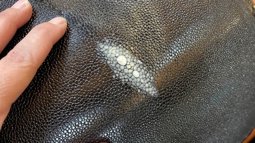 Détail grain de peau galuchat - perle centrale blanchie - noir - exotique - luxe - Cuirenstock