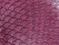 Peau de cuir de poisson tilapia prune satiné exotique luxe bijoux maroquinerie cuirenstock