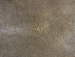 Détail grain de peau de galuchat - perle centrale - cuir exotique - vieil or pailleté - Cuir en stock