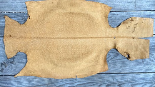 Grande peau de cuir de lézard beige mat - petite maroquinerie - bijou - accessoire - Cuir en stock