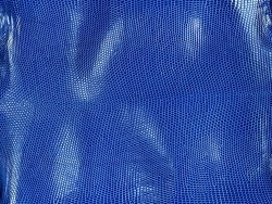 Grande peau de cuir de lézard bleu roi - petite maroquinerie - bijou - accessoire - Cuir en stock