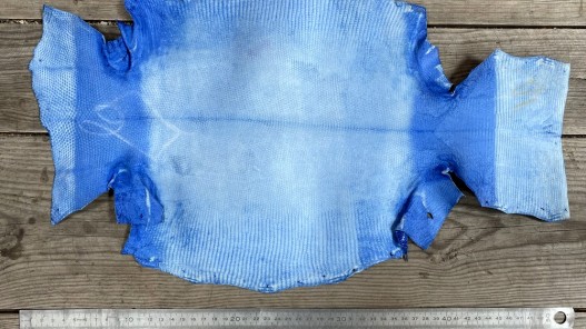 Grande peau de cuir de lézard bleu roi - petite maroquinerie - bijou - accessoire - Cuirenstock