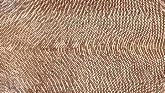Peau de cuir de lézard brun clair accessoire bijou maroquinerie cuir en stock