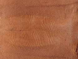 Grande peau de cuir de lézard à grandes écailles - brun cognac - cuir en stock